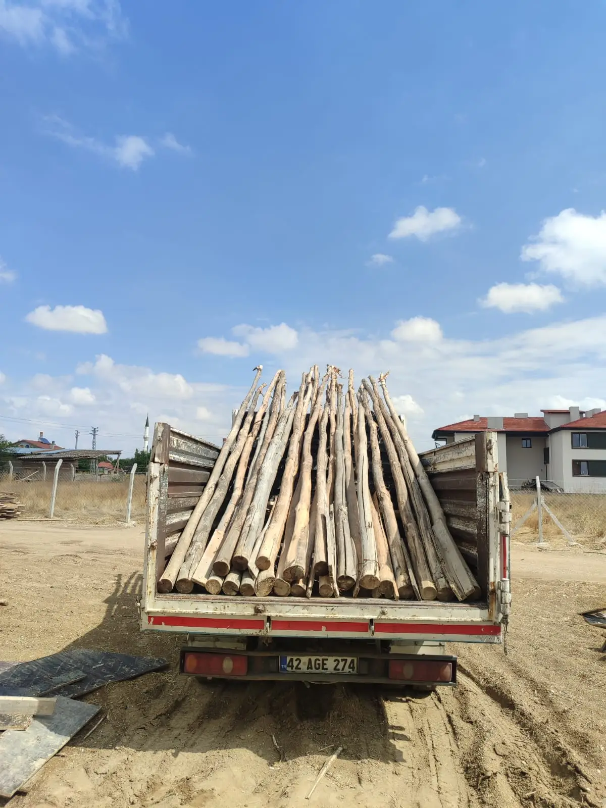 Okaliptüs direk yükü